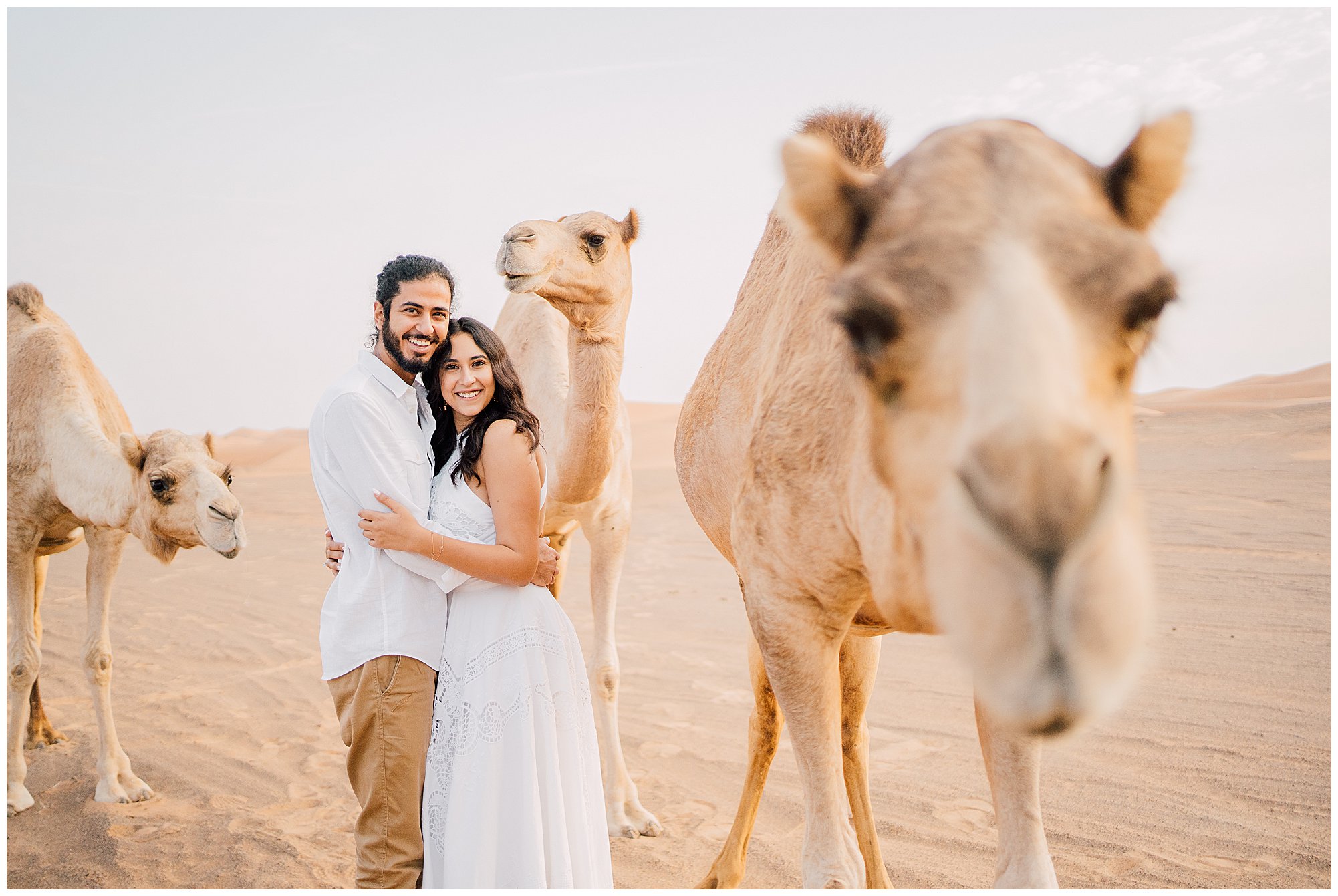 camels engagement photoshoot dubai