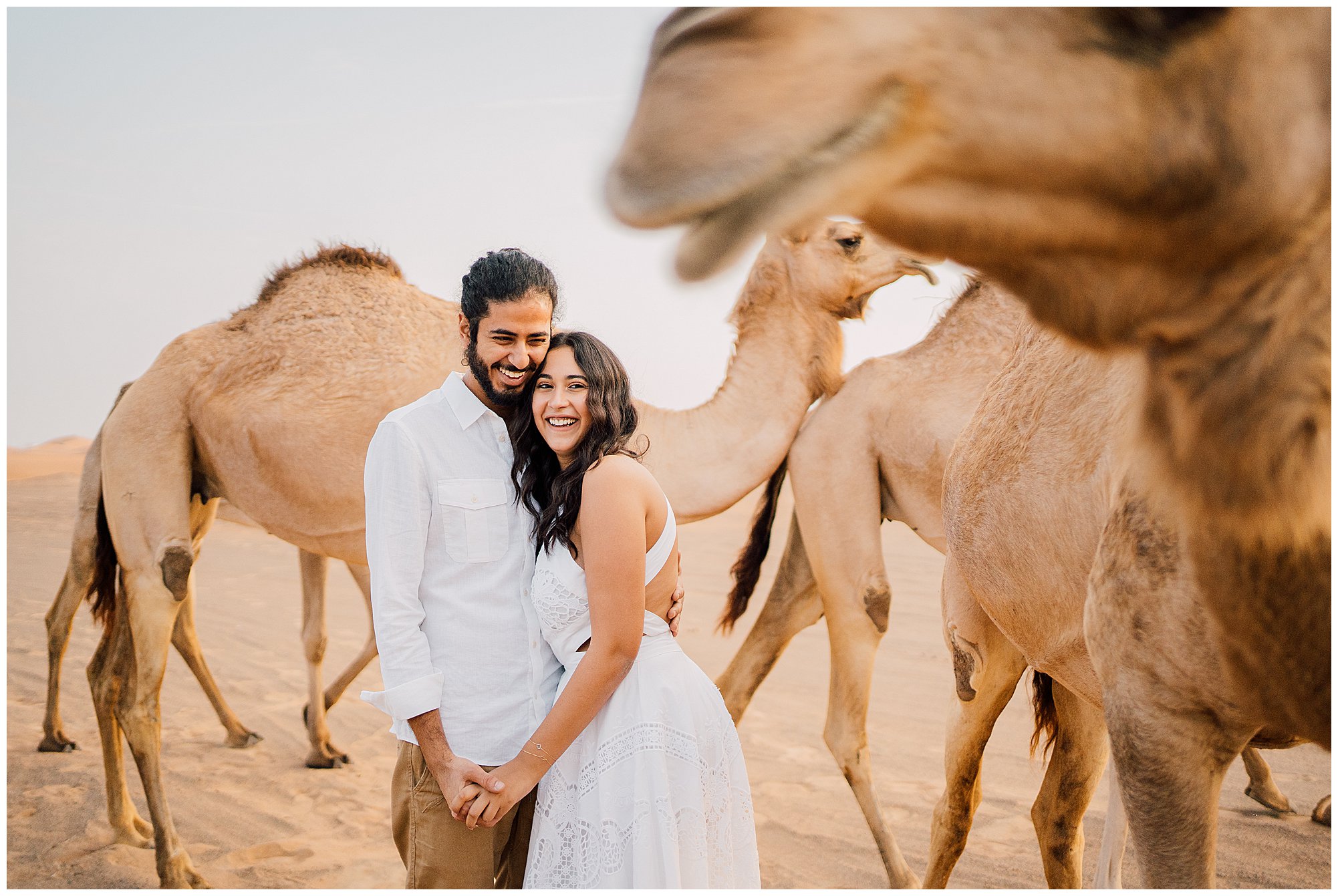 camels engagement photoshoot dubai